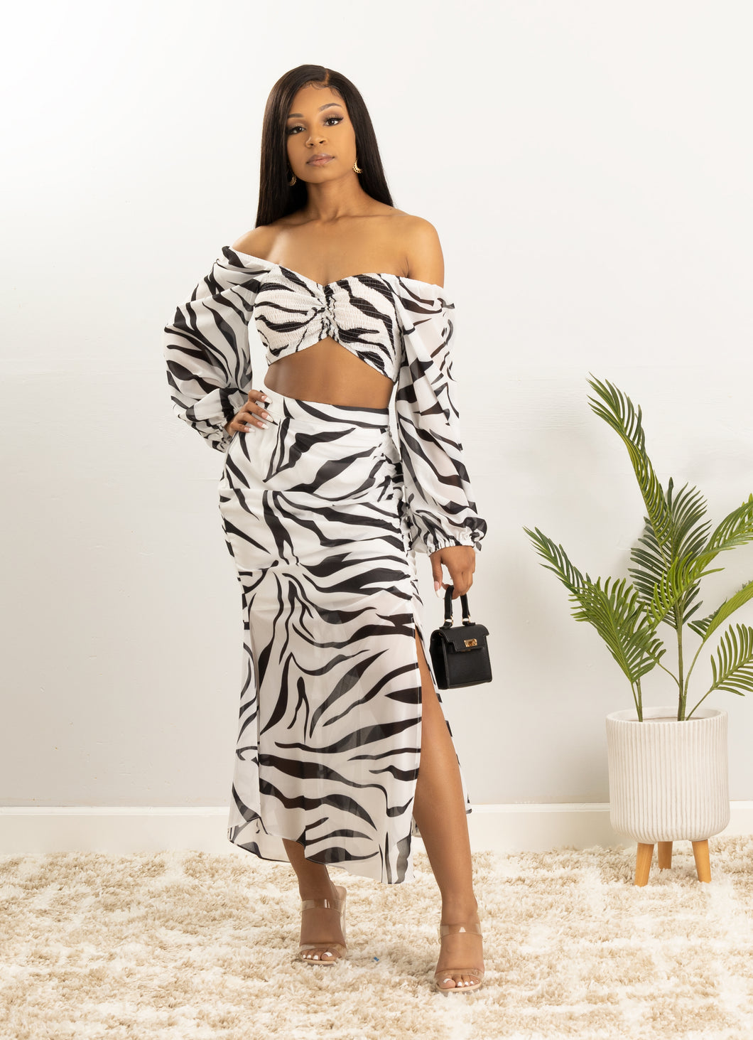 Zebra Stripes Skirt Set